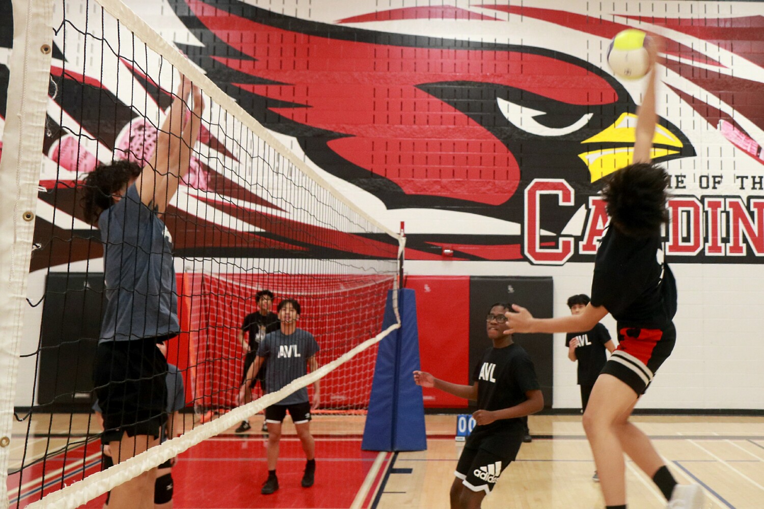 St Thomas Aquinas Secondary Brampton Aquinas Volleyball League 2023